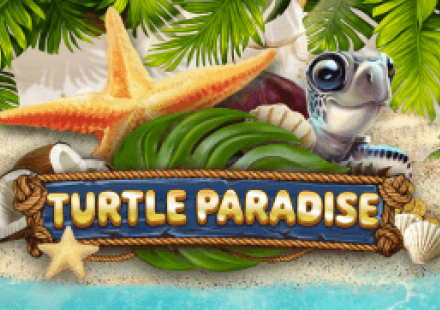 Turtle Paradise