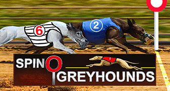 Spino Greyhounds