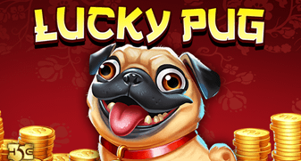 Lucky Pug