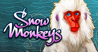 Snow Monkeys