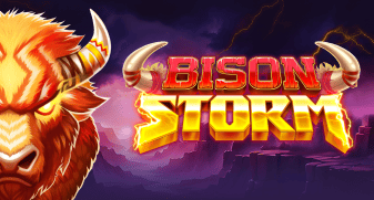 Bison Storm