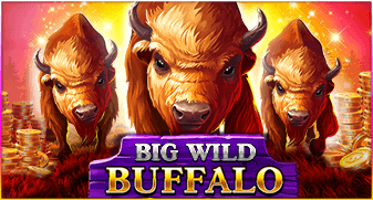 Big Wild Buffalo