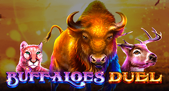 Buffaloes Duel