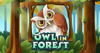 Owl In Forest