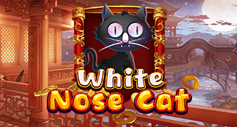 White Nose Cat