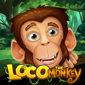 Loco the Monkey
