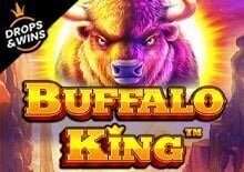 Buffalo King