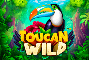 Toucan Wild