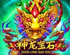 Shen Long Bao Shi