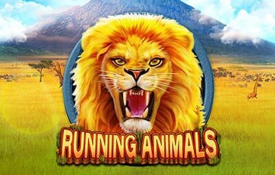 Running Animals