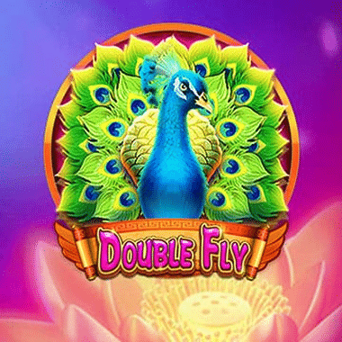 Double Fly