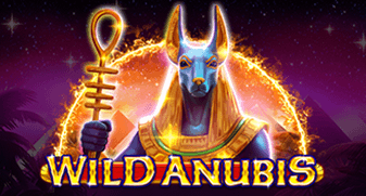 Wild Anubis