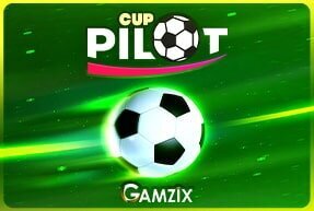 Pilot Cup