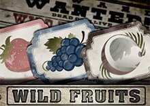 Wild Fruits