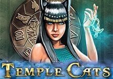 Temple Cats