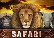 Safari