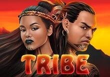 Tribe