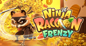 Ninja Raccoon Frenzy