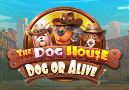 The Dog House - Dog or Alive