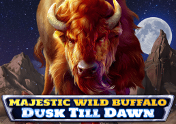 Majestic Wild Buffalo - Dusk Till Dawn