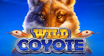 Wild Coyote