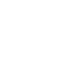 Jade Rabbit